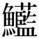 𩽭