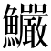 𩽴