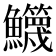 𩽣